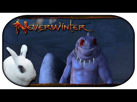 NEVERWINTER: Paladin-LP 🐇 124 - Aus den Augen bluten ist modern