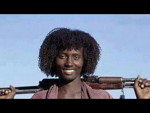 "GOOTONNI ILMAAN OROMOO DAANGAA OROMIYAA IRRAA"