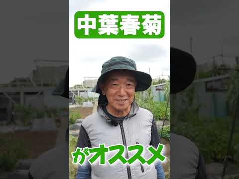 菜園の輪作計画：メリットは何ですか？  庭園