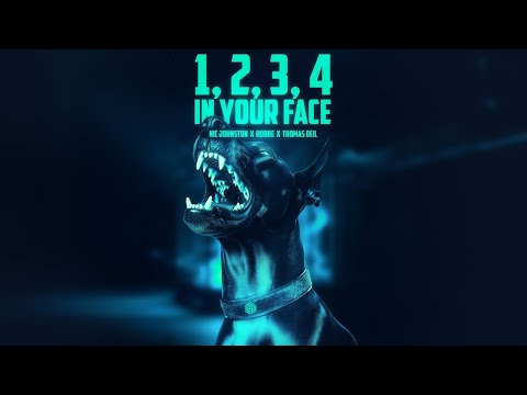 Nic Johnston, Robbe & Thomas Deil - 1, 2, 3, 4 (In Your Face)