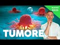 Neoplasms Tumors And Metastases Cell Biology Course 2026