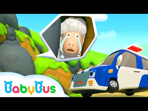 Unde a dispărut oița? Cântece BabyBus în română pentru Copii