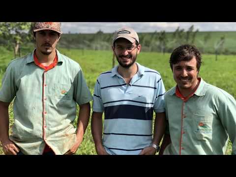 ESTAPAS DE MONTAGEM - IRRIGAÇÃO POR ASPERSÃO