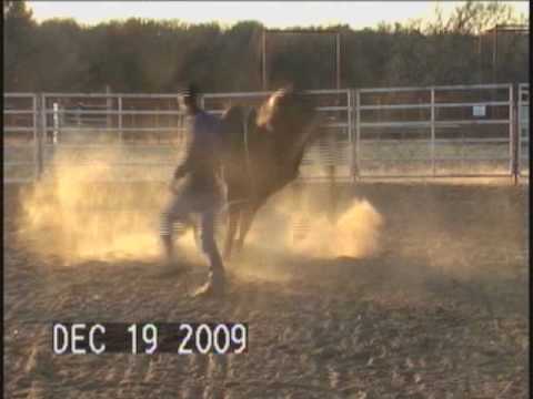 Roy_Dec 19th 2009.wmv