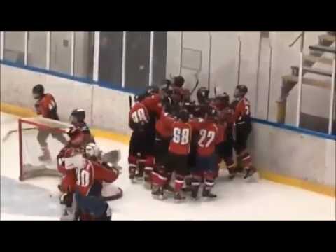 Vasas SC jégkorong U-18 2014-2015