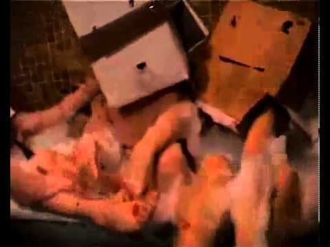 Egotronic - Lustprinzip