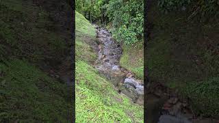 waterfall - river flowing water - waterfall landscapes