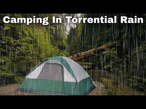 Camping In The Rain, Heavy Rainstorm, Tent, Forest, ASMR