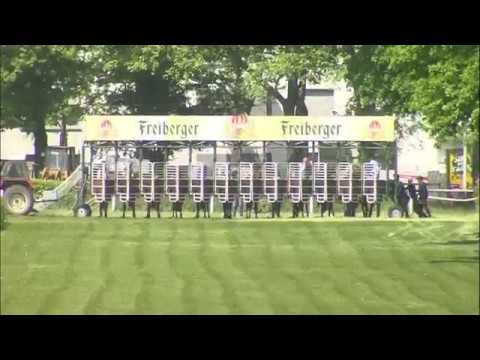 Galopprennbahn Dresden - 05.Mai 2018 - Rennen 3