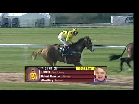 2009 Red Rum Chase - Aintree meeting