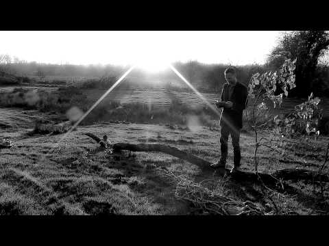 Provincials - The Butterfly House (Official Video)