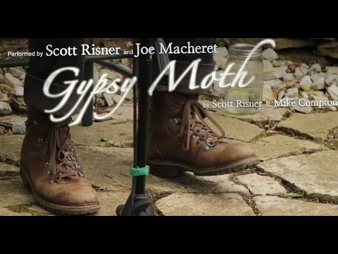 Gypsy Moth (instrumental) - Scott Risner & Joe Macheret