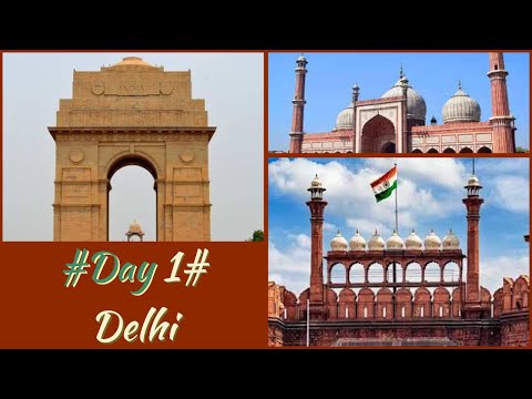 Trip Day 1 - Delhi || Red Fort ||Jama Masjid || Dsignature || Vlog 1