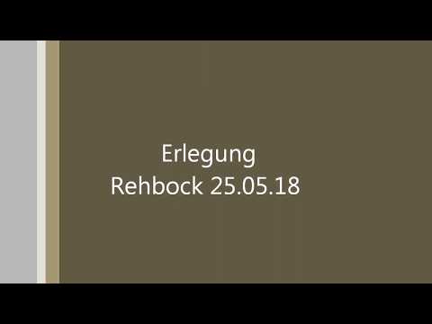 Erlegung Rehbock 25.05.18
