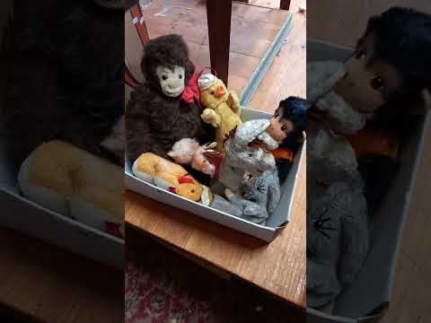 Thursday 25th July 2024 Auction at The Collector Adams fortnightly fossick!