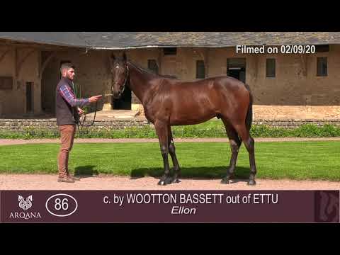 2020 Deauville Select Sale - Lot 86 c.WOOTTON BASSETT x ETTU