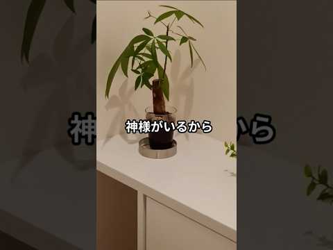 観葉植物の枯れを防ぐには？原因は何ですか?  庭園