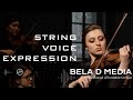 Video 1: String Voice Expression Kontakt