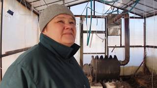 ЧТО СЛУЧИЛОСЬ С ТЕПЛИЦАМИ. НАШИ МАЛЮТКИ. 15.02.19