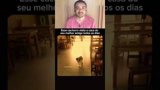 Esse cachorro visita a casa do seu melhor amigo todos os dias #shorts