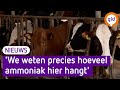 Dit slimme apparaat uit de Achterhoek gaat de strijd aan met stikstof