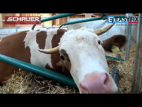 EASYFIX Stalleinrichtungen mit Kuhkomfort |  Schwarz, Österreich