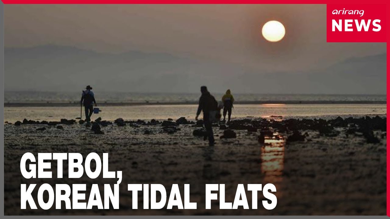 South Korea seeks expanded UNESCO World Heritage status for tidal flats