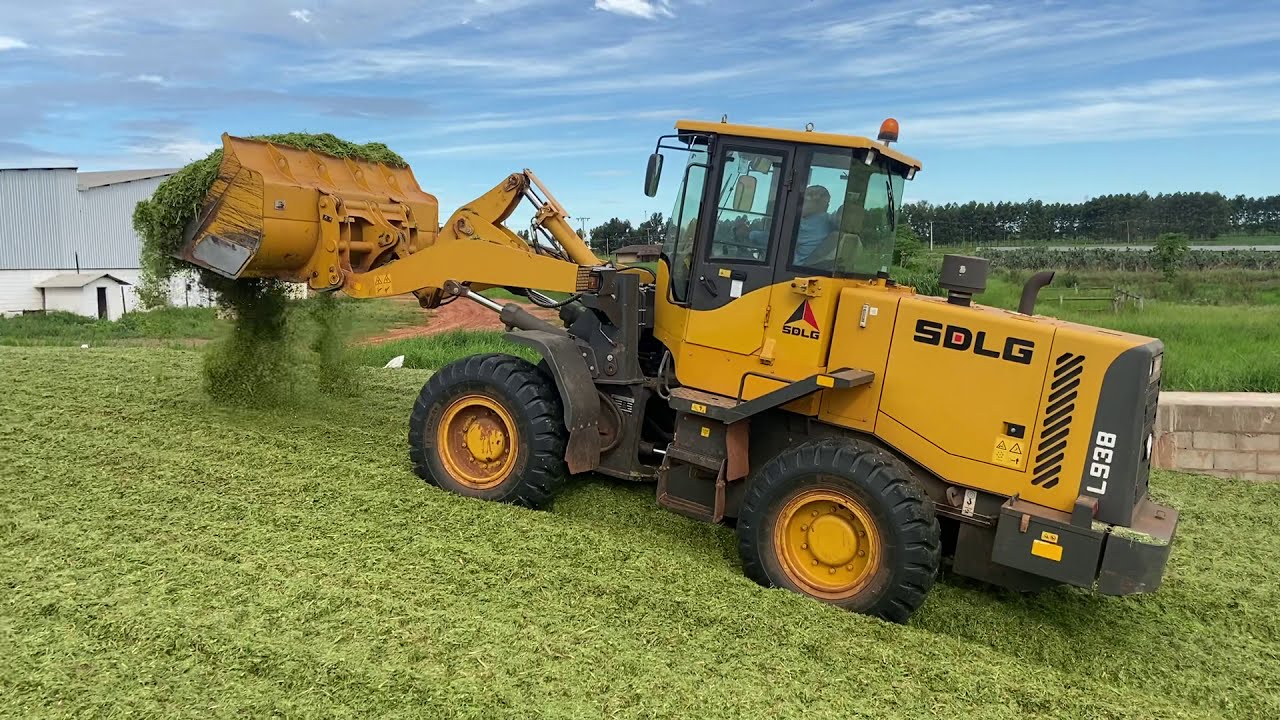 ARMAZENANDO SILAGEM PARA O CONFINAMENTO! SILO TRINCHEIRA COM CAPACIDADE DE 2000 TONELADAS!