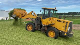 ARMAZENANDO SILAGEM PARA O CONFINAMENTO! SILO TRINCHEIRA COM CAPACIDADE DE 2000 TONELADAS!