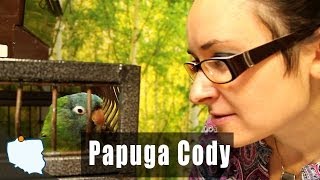 preview picture of video 'Zwiastun: Gadająca Papuga Cody z Parku Zoo-Egzotyczne Kaszuby'