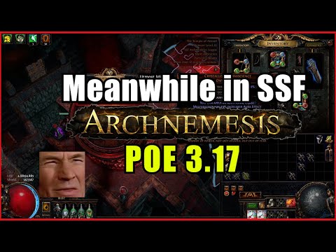 ⚡ POE 3.17 ⚡ Manni2 - Meanwhile in SSF