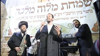 שלוימי גרטנר, שרוליק קלצקין, משה דב הומינר, שלמה גובי, משה אוסטרליץ -'זימרה וחסד בא"י'