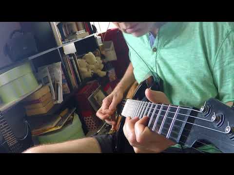 Philosophy of the world - An instrumental guitar tribute to the Shaggs