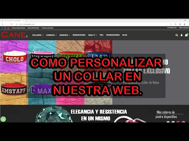 Vídeo relacionado con Ibera Gifts - Collar Perro Personalizado con Nombre para Cachorros o Mascotas Muy Pequeñas, Collar Gato Personalizado, Reflectante, Ajustable De 22 a 30 cm, Seguro y Cómodo (Turquesa, XS Muy pequeño)