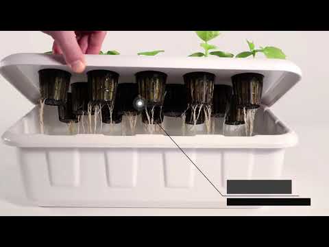 Best Hydroponic System | Supercloner 14 | Clone and Germinate