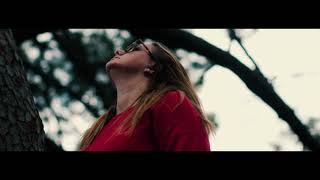 Blackmagic Pocket Cinema Camera 6k Footage "Sense Of Wonder"