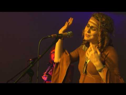 Hayley Jane and the Primates, Live in concert