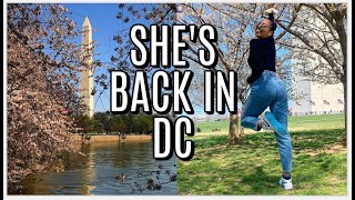 VLOG: quick trip to Washington, DC for cherry blossom season
