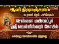ஆனி திருமஞ்சனம் நடராஜர் சிறப்பு அபிஷ