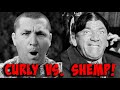 CURLY VS SHEMP Three Stooges MARATHON Over 4 1 2 HOURS Classic 3 Stooges