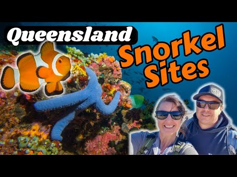 10 Best Snorkelling Sites in Queensland & Great Barrier Reef!