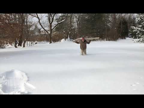 YouTube video