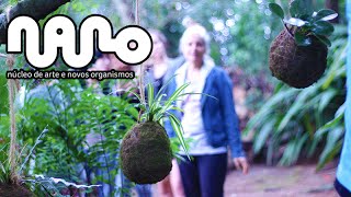 Confecção de Kokedamas