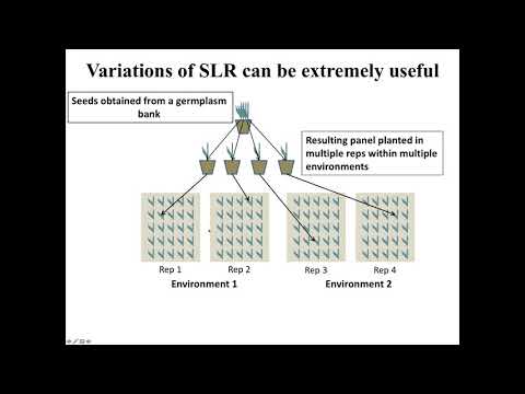 Introduction of Statistical Models for GWAS and GS