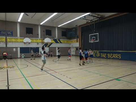 Amigos (48) vs Wings (56) - saturday tier 9 - tcbl 2022 summer