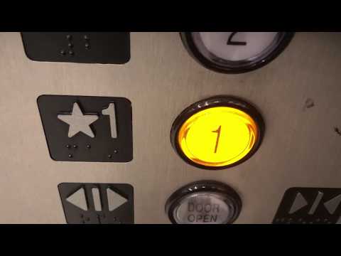 (Epic Motor) MEI Hydraulic Internal Elevator @ North Garden - Mall Of America in Bloomington, MN