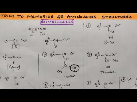 Trick to draw & memorize 20 Amino acid structures from Biomolecules class 12 chemistry by Komali mam