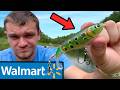 Testing Walmart S Cheap Vs Expensive Fishing Lures