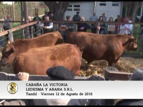 12-08-16 - VENTAS DE CABAÑA "LA VICTORIA" -  LEDESMA Y ARANA S.R.L.