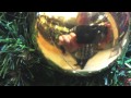 Blurred Lines - Cover version by Hugh Wilson